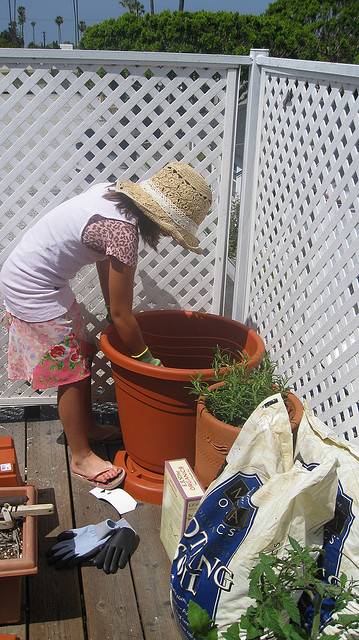 patio garden, apartment garden, green thumb, gardening in an apartment