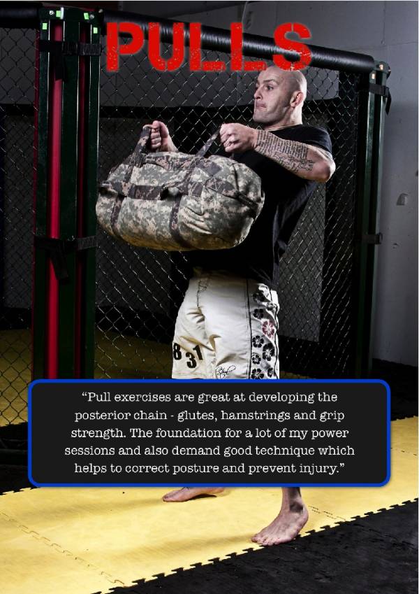 matthew palfrey, wesley murch, sandbag training, sandbag training for mma