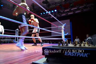 World Chess Boxing Champion Crowned - The Escapist