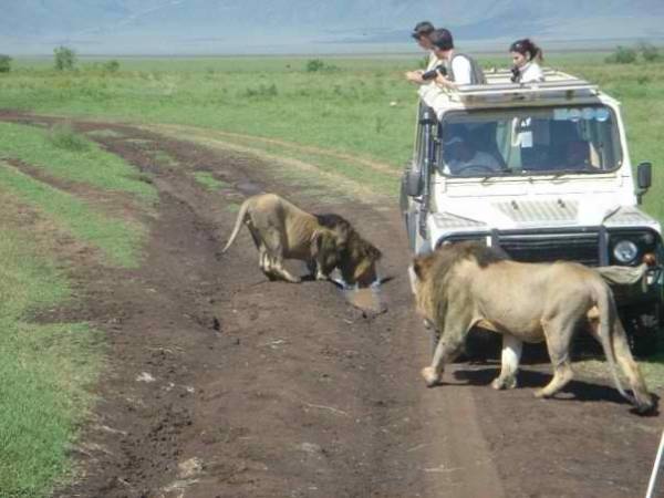 tanzania, medical mission, dar es salaam, lindsey mathews, birthfit