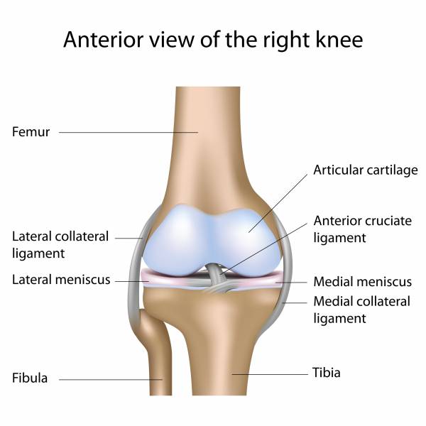 knee injury, knee surgery, acl, mcl, meniscus, knee surgery recovery