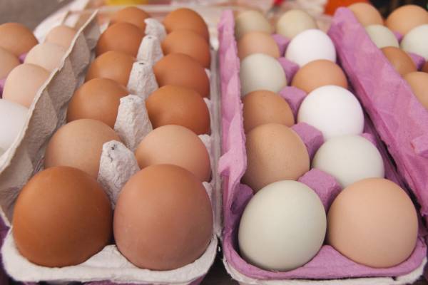 eggs, choline, egg yolk, choline deficiency, choline for pregnany