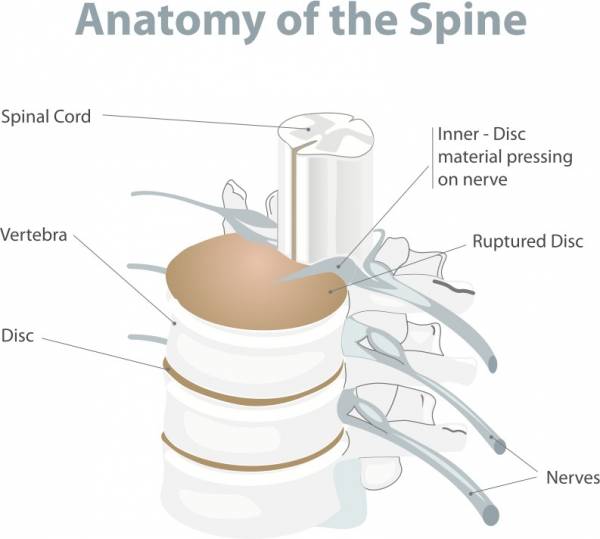 How to Recover From a Back Injury