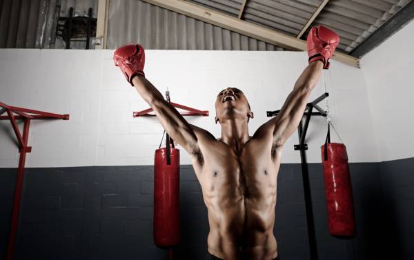 principles of training, gym training, how to train sensibly, training in the gym