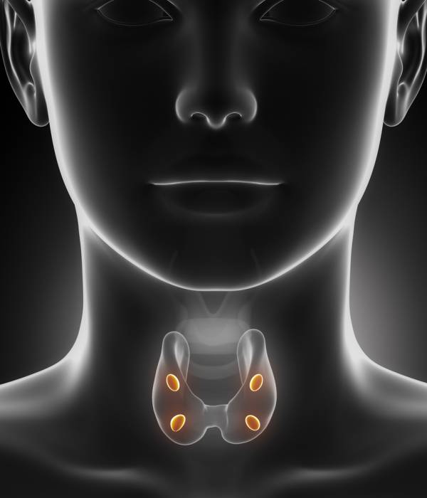 thyroid hormones, hypothyroidism, hyperthyroidism, free t3, tsh, trh