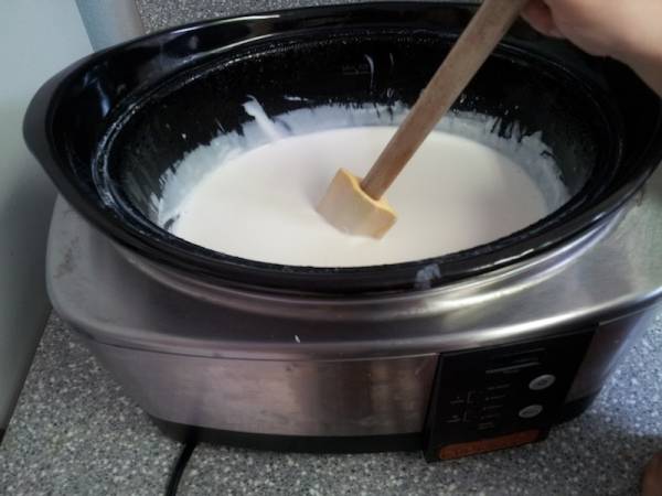 Yogurt Maker: A DIY Approach to Fermented Food