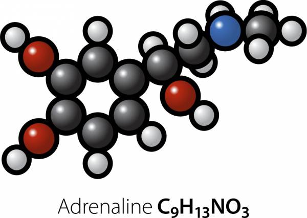 adrenal fatigue, adrenal system, epinephrine, adrenaline, stress hormones