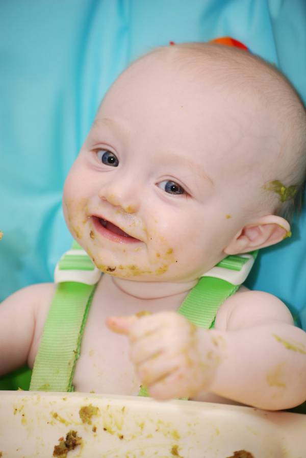 baby food, paleo, baby nutrition, feeding babies