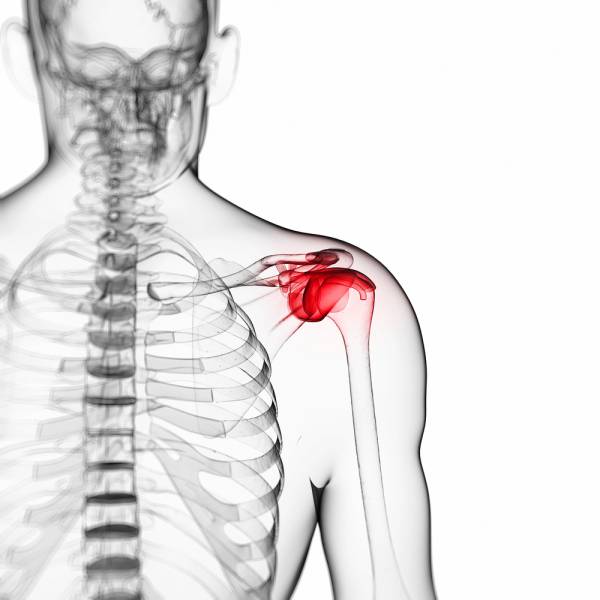 shoulder pain, shoulder instability, shoulder injury, shoulder muscles