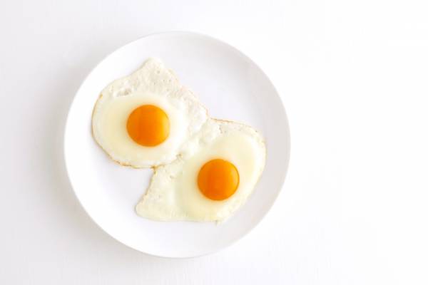eggs, cholesterol, why not to eat eggs, free range eggs, vegan, vegetarian