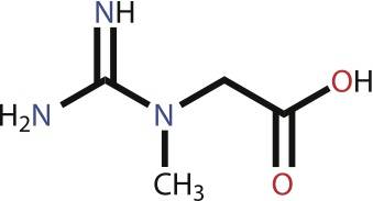 energy pathways, metabolic pathways, energy systems, nutrition, bioenergetics