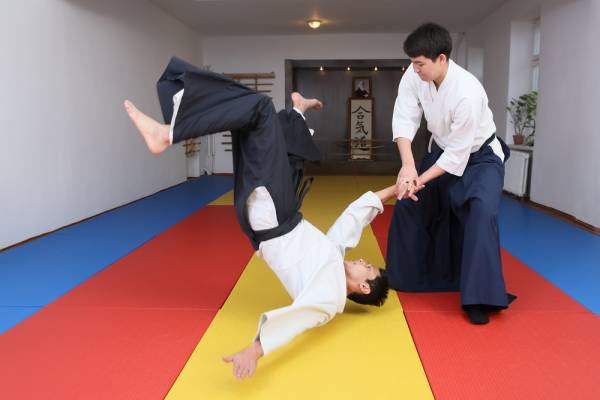 aikido, what is aikido, martial arts, aikido black belt test, aikido training