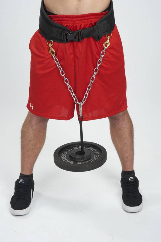 Dip belt discount for pull ups