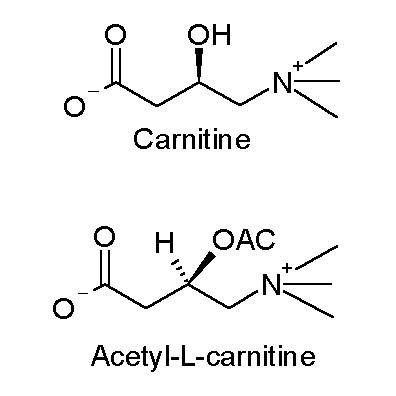 nitrates, creatine, supplements for lifters, supplements for life