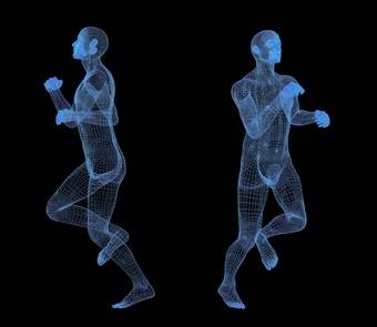 running, cadence, muscle shortening, stored energy