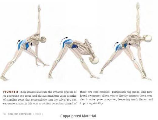 Anatomy of Yoga: Essential Yoga Foundations and Techniques - A New  Perspective on Yoga Poses: Essential Foundations and Techniques in Yoga  Teaching - A New Perspective on Yoga Poses.: : Mattingly,  Robert