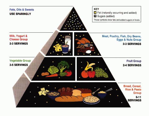 usda, food pyramid, grains, fruit, vegetables, dr light