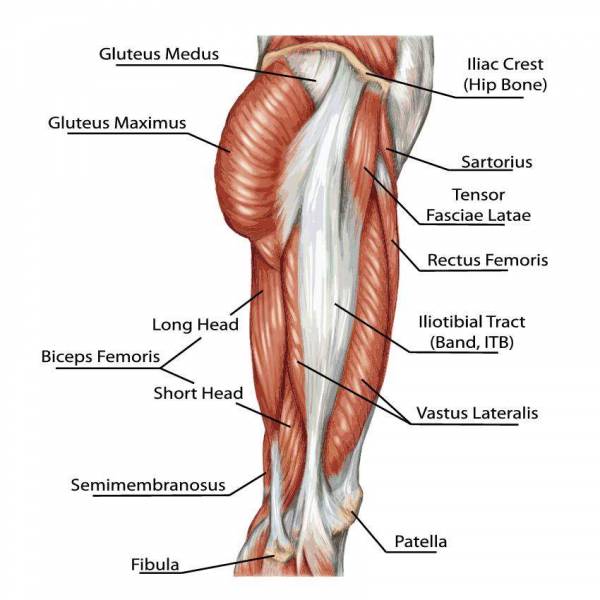 Do You Have Good Posture?  Centennial College Athletic and