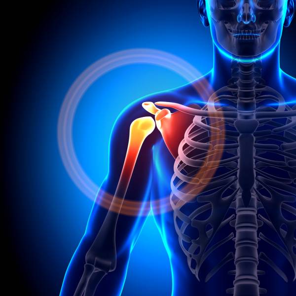 shoulder anatomy, shoulder injury, scapula, shoulder problems