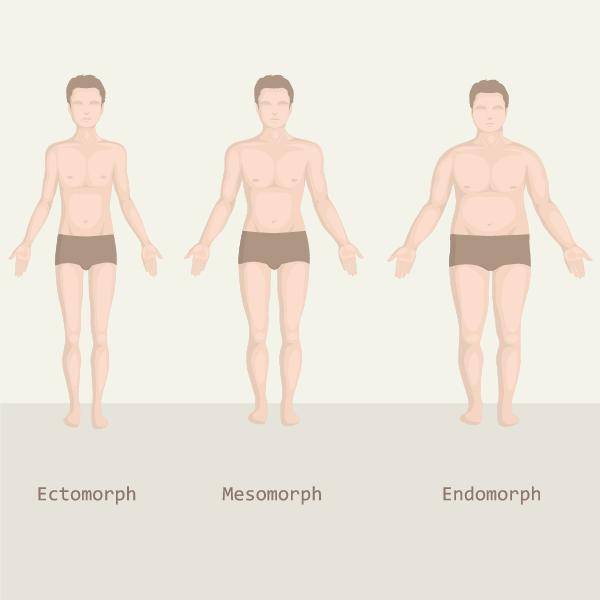 endomorph, diet, exercise, somatotype, fat loss, weight gain