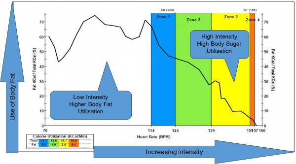 How to Get the Most From Your VO2 Max Test Breaking Muscle