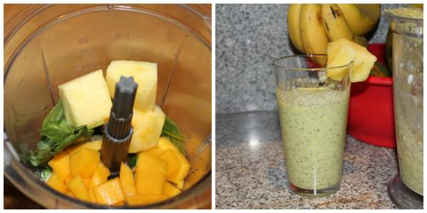 smoothies, don't waste the crumbs, high protein no powder, book reviews