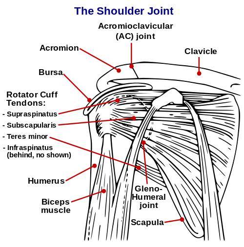 Wall slides for scapular stability 