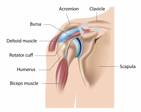 shoulder injury, kettlebells for shoulder, shoulder exercises, scott iardella