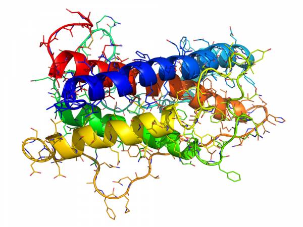 oping, youth, athletes, growth hormone, testing, performance, somatotropin 