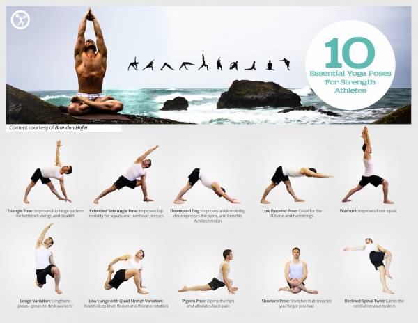 Power Yoga for Athletes: More Than 100 Poses and Flows to Improve  Performance in Any Sport