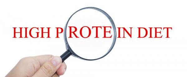 protein, protein powder, supplements, nutrition