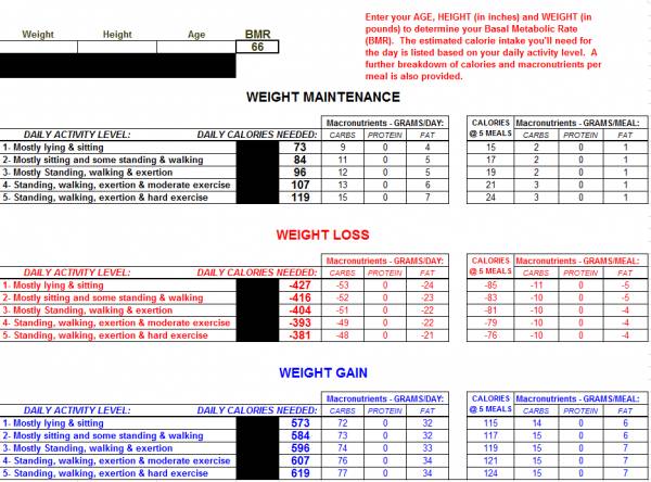 Workout split 2025 for skinny guys