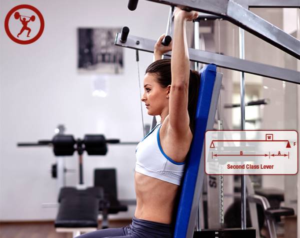 Weight Training Machines In the Gym: How to Use Them All