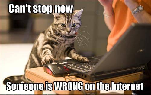 meme, cat meme, internet meme, angry cat, grumpy cat