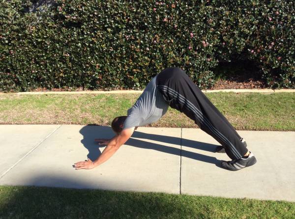 downward dog, mobility, yoga