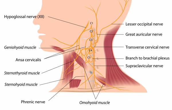 Does Good Posture Matter?