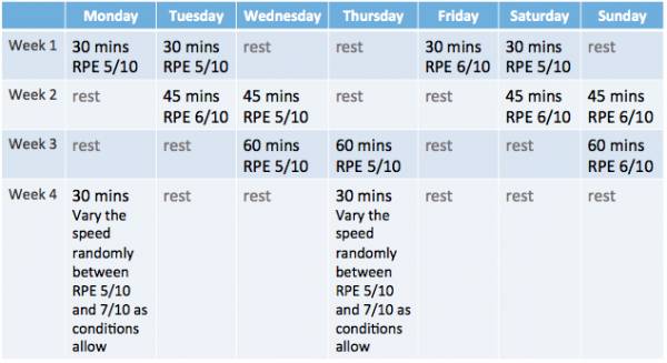 Beginner store cycling program