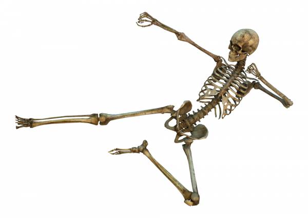 bones, skeleton