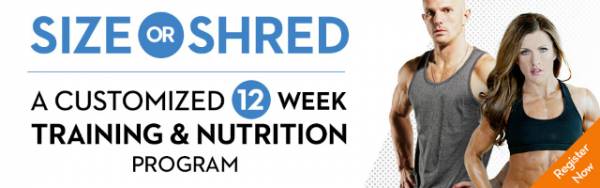 size or shred program, john rusin, kalli youngstrom, fat loss, hypertrophy