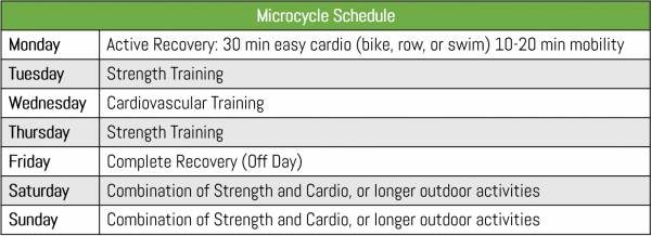 Microcycle sample schedule