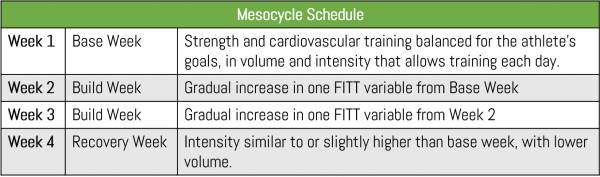 Mesocycle sample schedule