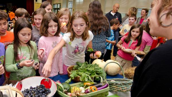food education in schools