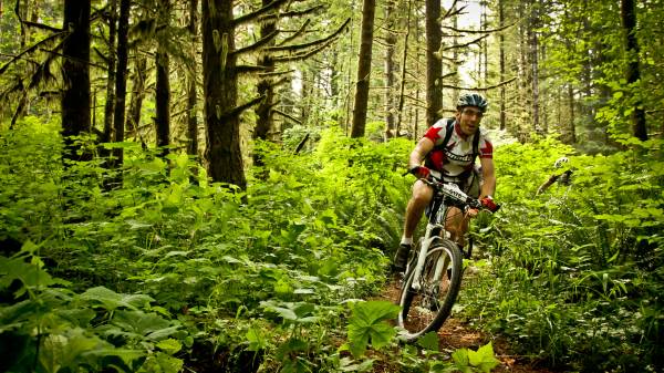 mountain biker