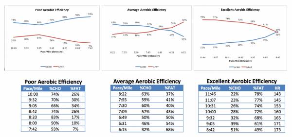 aerobic efficiency graph