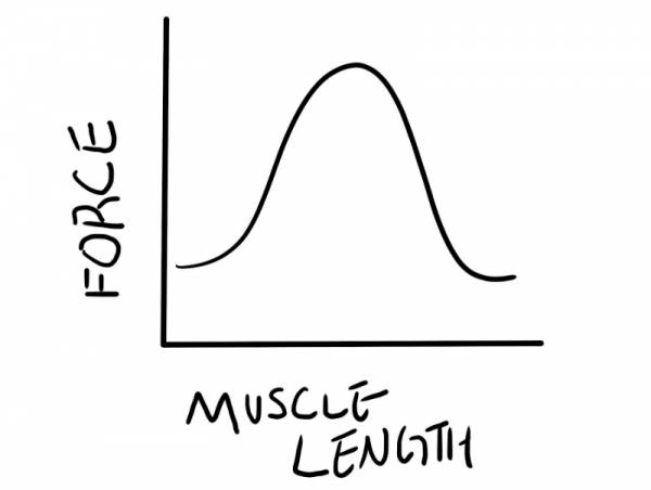 Force Distribution