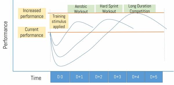 Adaptation after various types of training