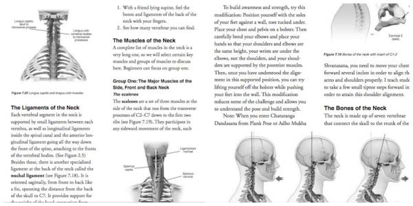 Anatomy Text Collage 1