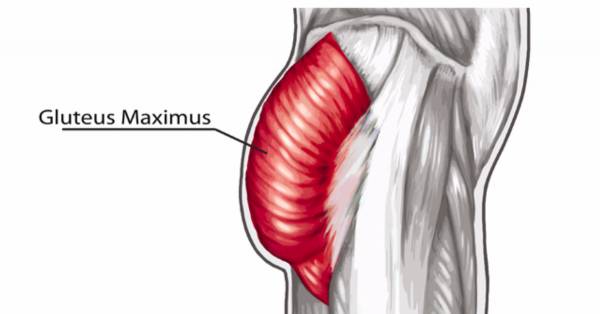 Squats and Hip Dysfunction: 2 Common Problems and How to Fix Them