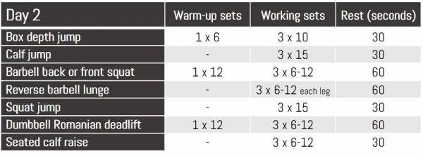 plyometrics for hypertrophy day 2