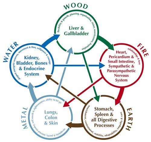 The five element theory of traditional Chinese medicine